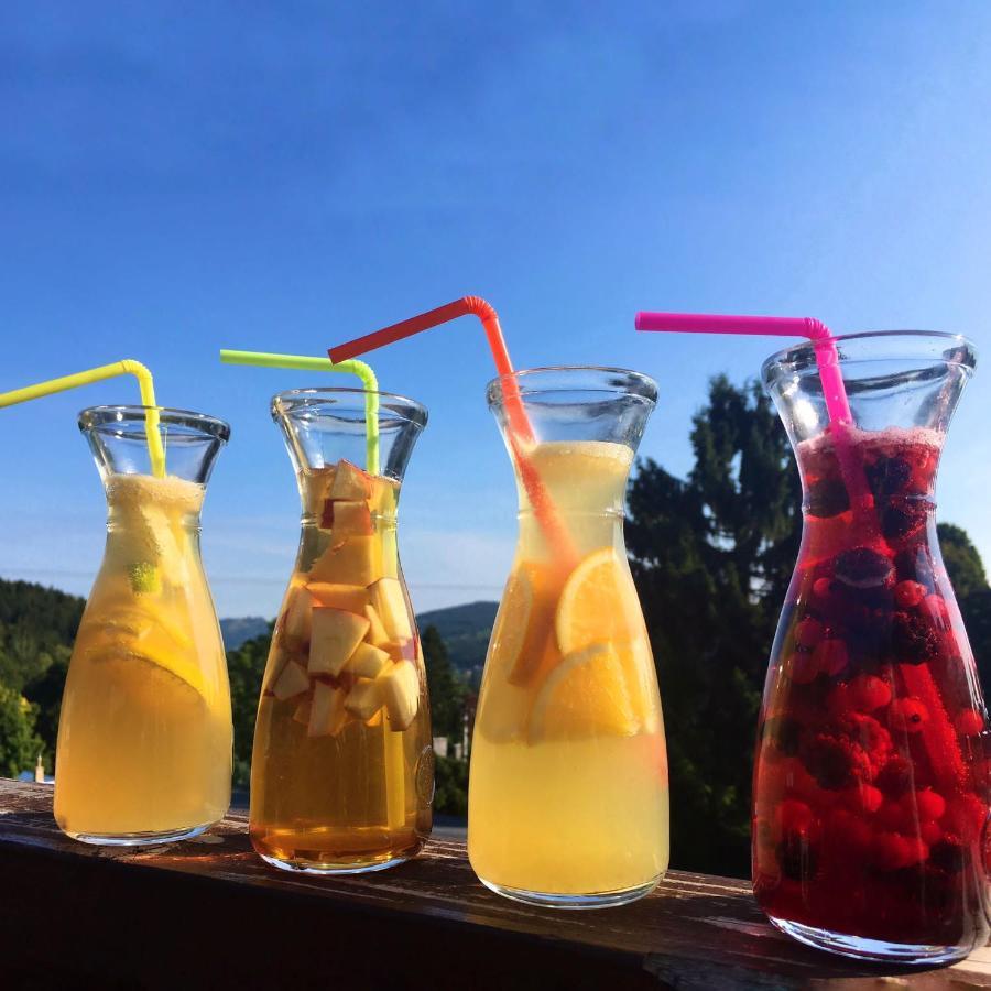 Hotel Peklo Pro Rodiny S Detmi Josefŭv Dŭl Kültér fotó